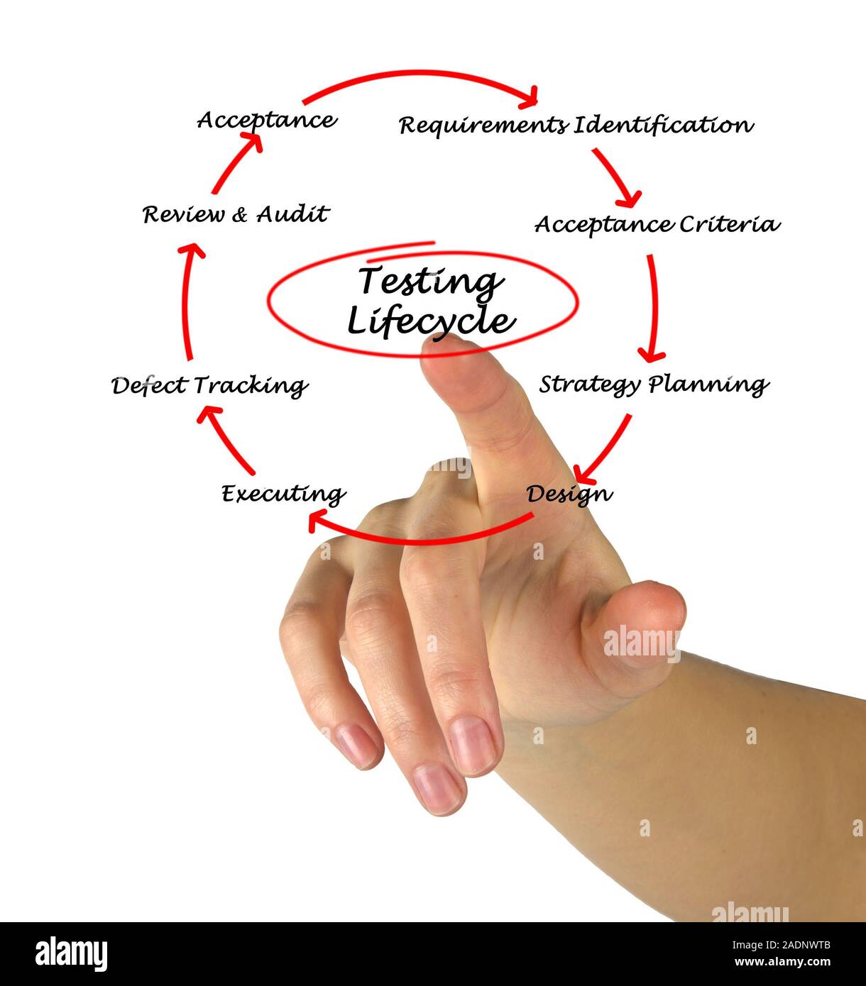 Testing Life Cycle Stock Photo Alamy