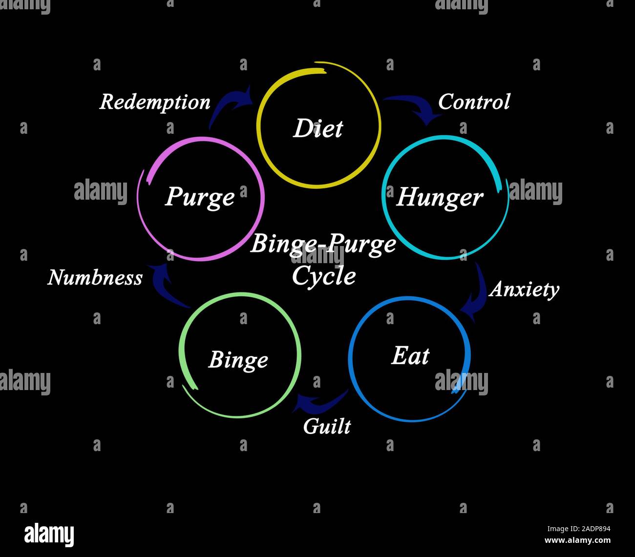 Dia7 631 BingePurge Cycle Stock Photo Alamy