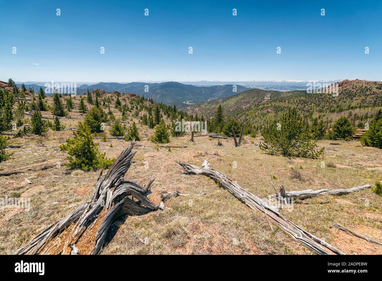 Lost Creek Wilderness, Colorado, USA Stock Photo