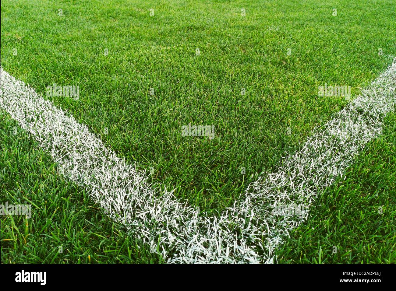 Corner of the soccer field. Football fields corner with white stripe