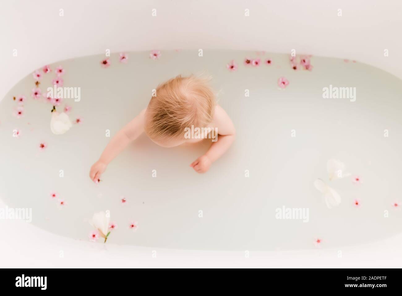 Baby in a flower bath with cherry blossoms Stock Photo Alamy
