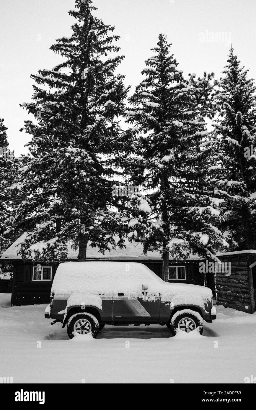Old SUV in front of snow covered pine trees Stock Photo