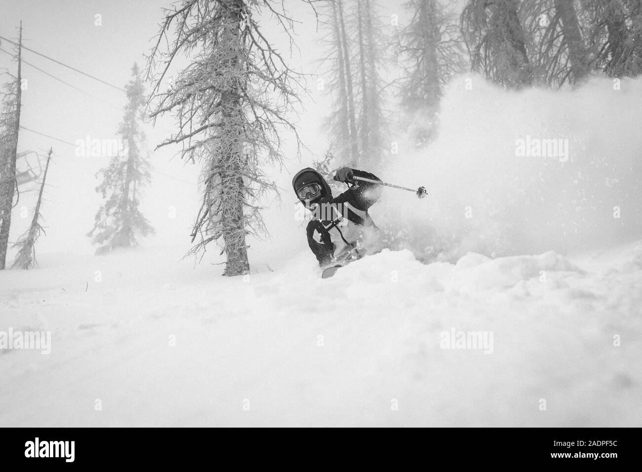 Skier In Powder at Wolf Creek Stock Photo