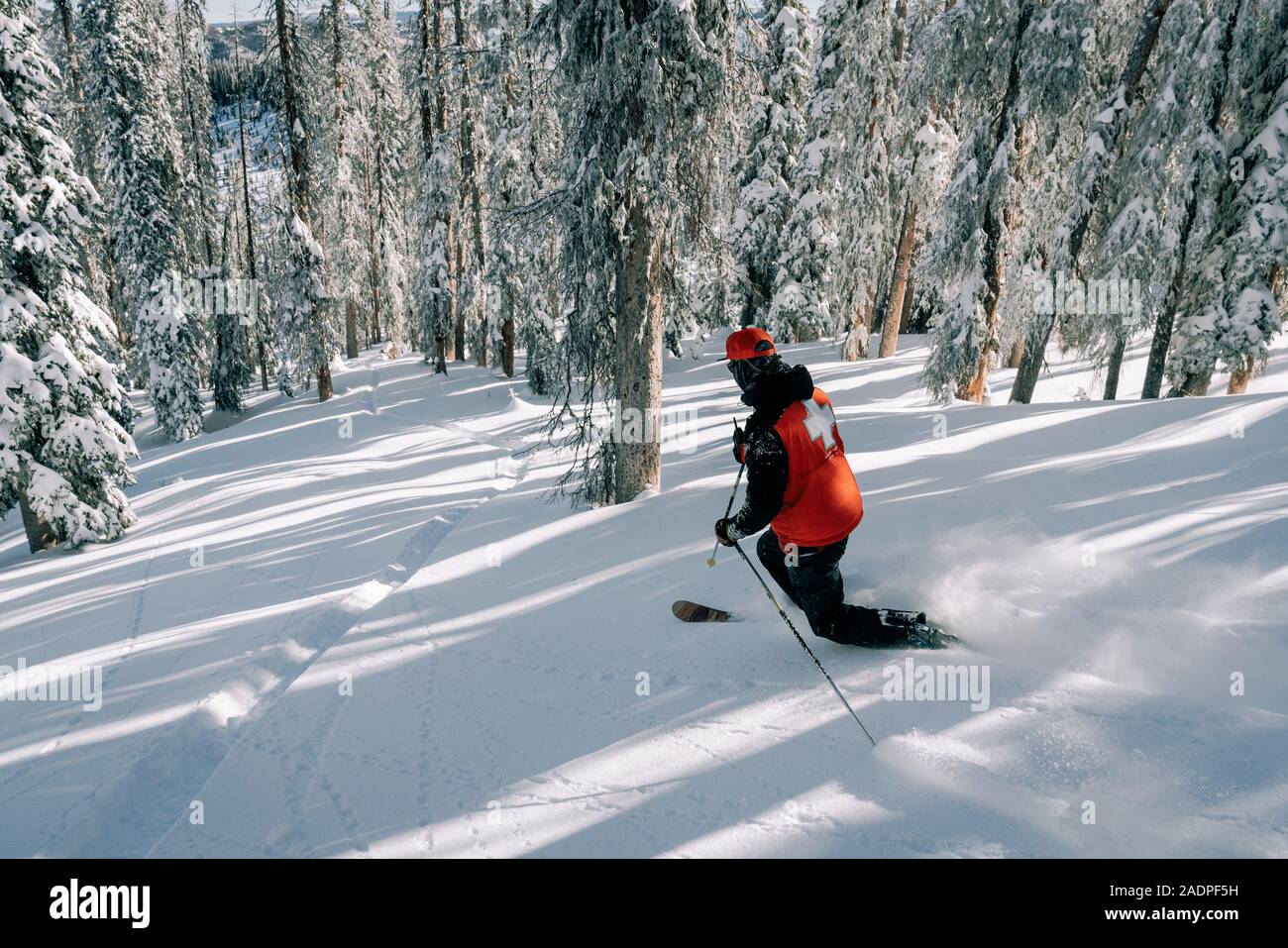 Ski Patrol telemark skiing through powder in trees Stock Photo Alamy