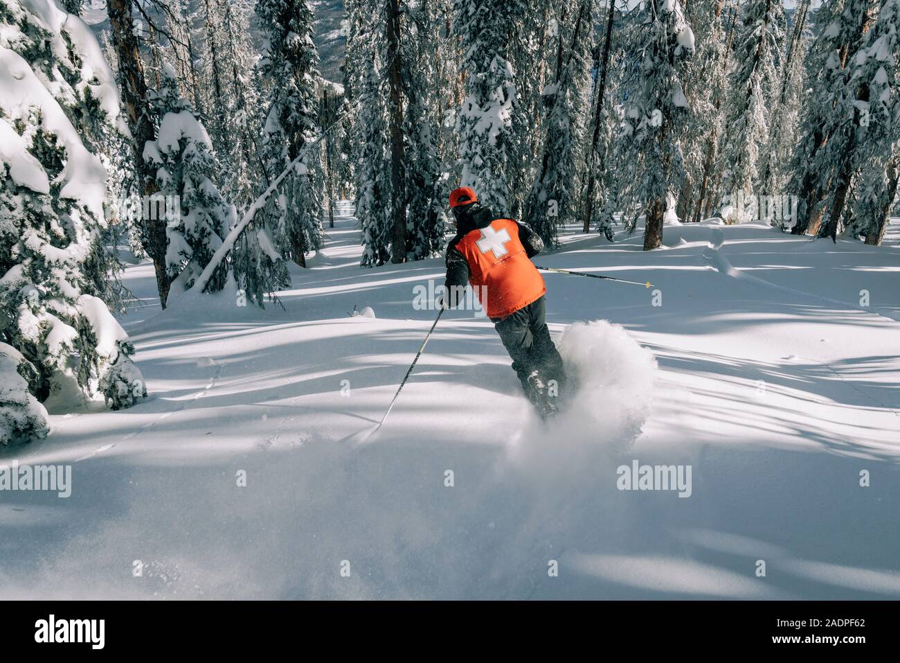Ski Patrol telemark skiing in powder through trees in Colorado Stock