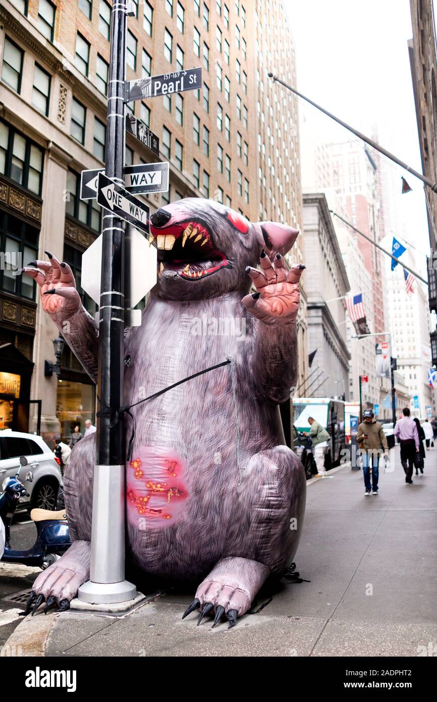 Inflatable rat is seen on the city street near a non-union construction site. Scabby the Rat on a New York City sidewalk in Lower Manhattan. Stock Photo