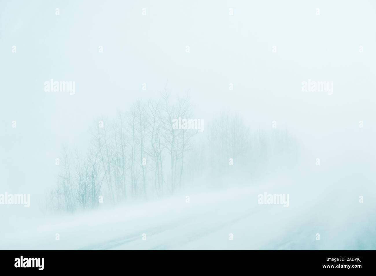 Windshield View Of Hazardous Snow Blizzard On Highway 285; Park County 