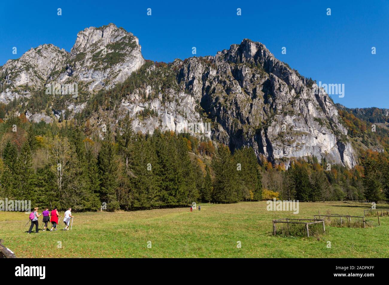 Almwanderung am Hengstpass. Laussabaueralm mit Blick auf die Kampermauer, Oberösterreich Stock Photo