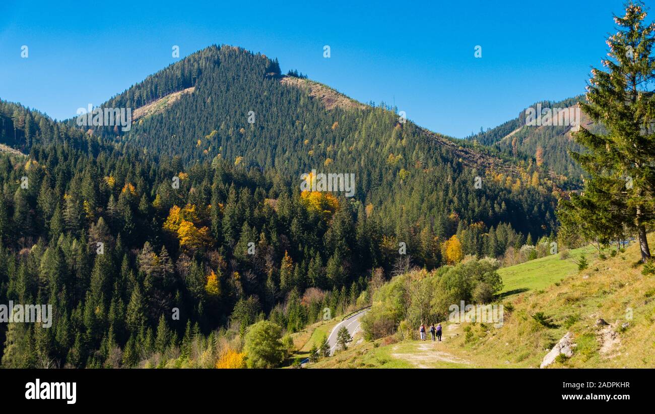 Almwanderung auf der Puglalm am Hengstpass, Oberösterreich Stock Photo