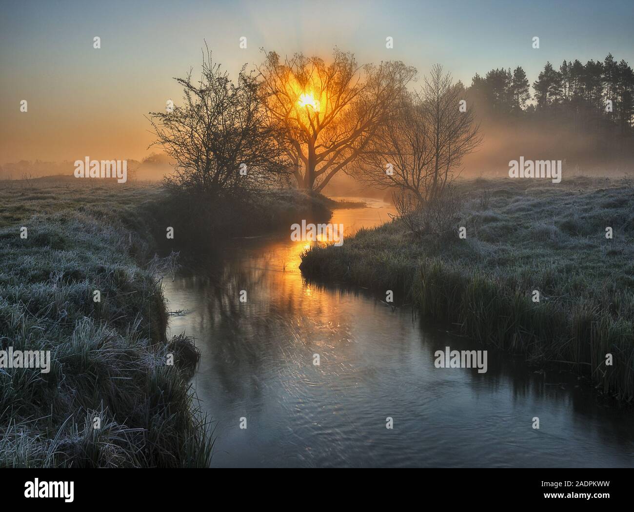 fog in the river valley. picturesque spring morning. beautiful foggy sunrise in a foggy meadow Stock Photo