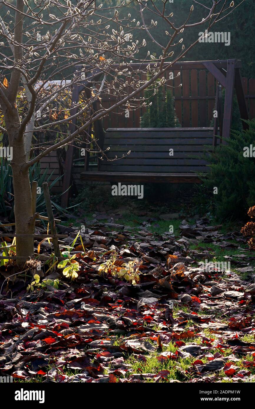 Swing in the autumn garden, in the foreground fallen leaves lying on the lawn Stock Photo