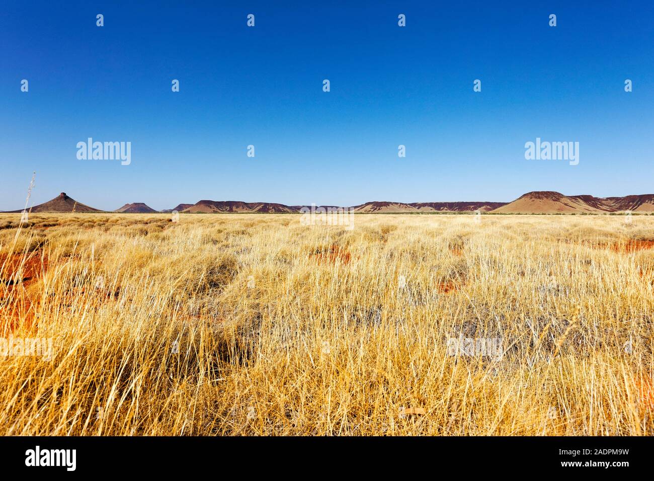 Chichester ranges hires stock photography and images Alamy