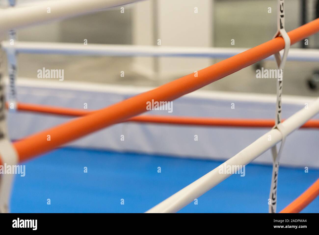 Boxing ring. The ropes from the Boxing ring closeup. A place to fight