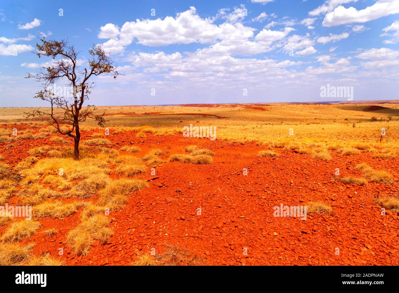 Australian outback landscape, Pilbara, Western Australia Stock Photo