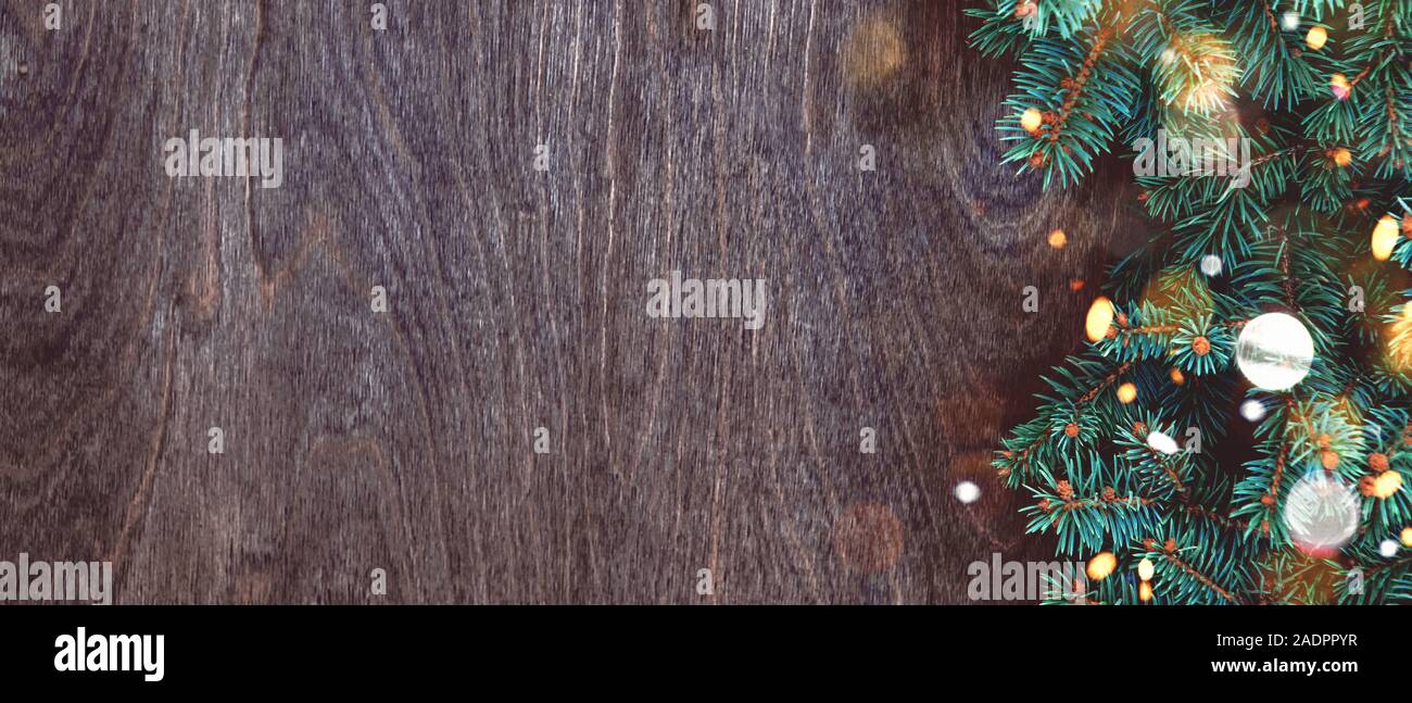 Seasonal banner with border of green fir branches and christmas lights ...