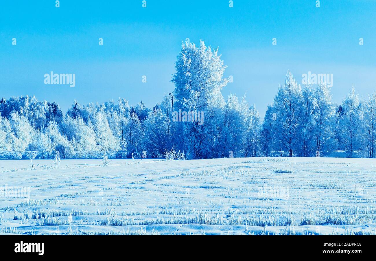 Forest Near Rovaniemi Lapland new forest road hi-res stock photography and images - Alamy