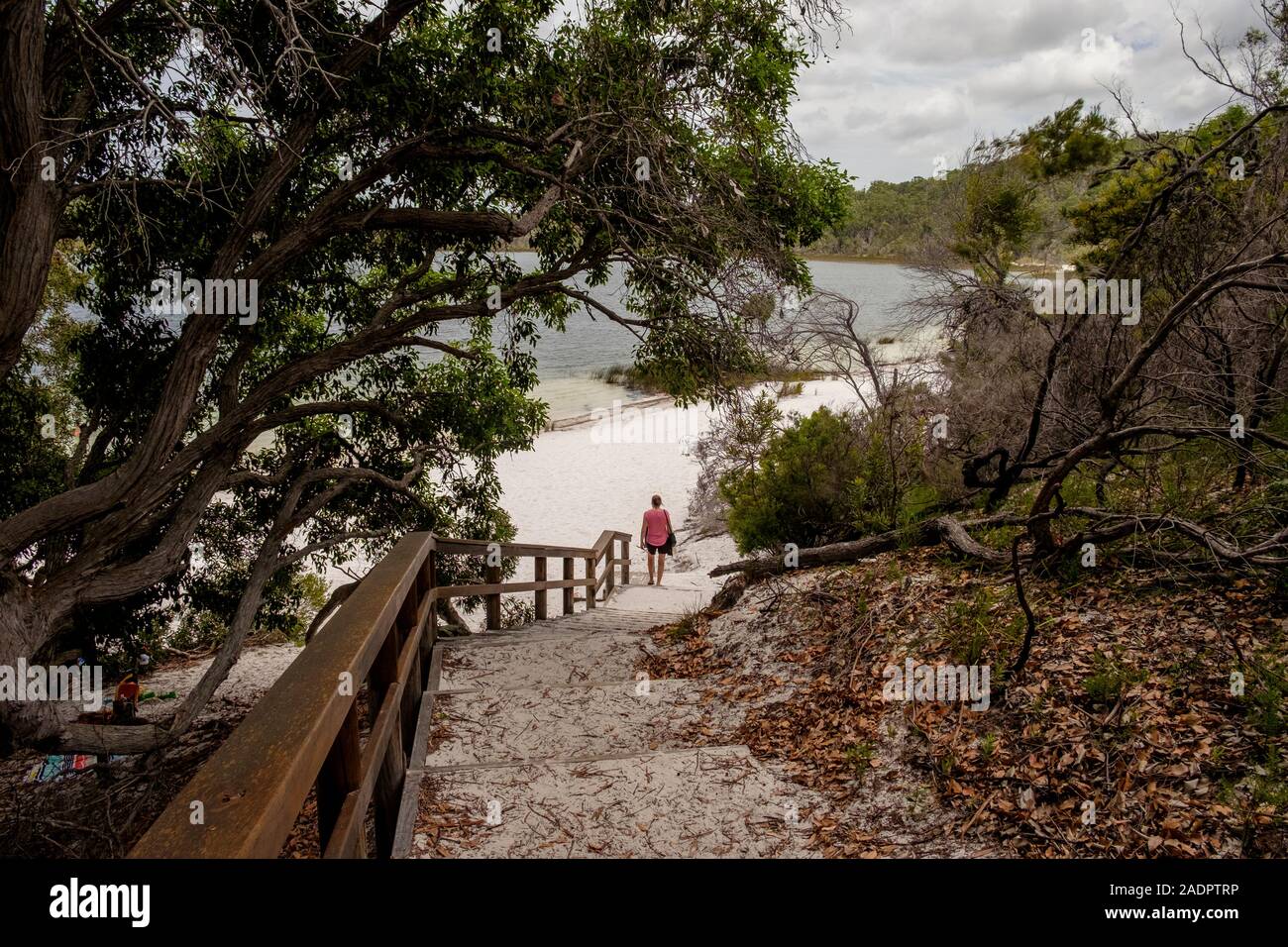Lake McKenzie Fraser Island Stock Photo Alamy