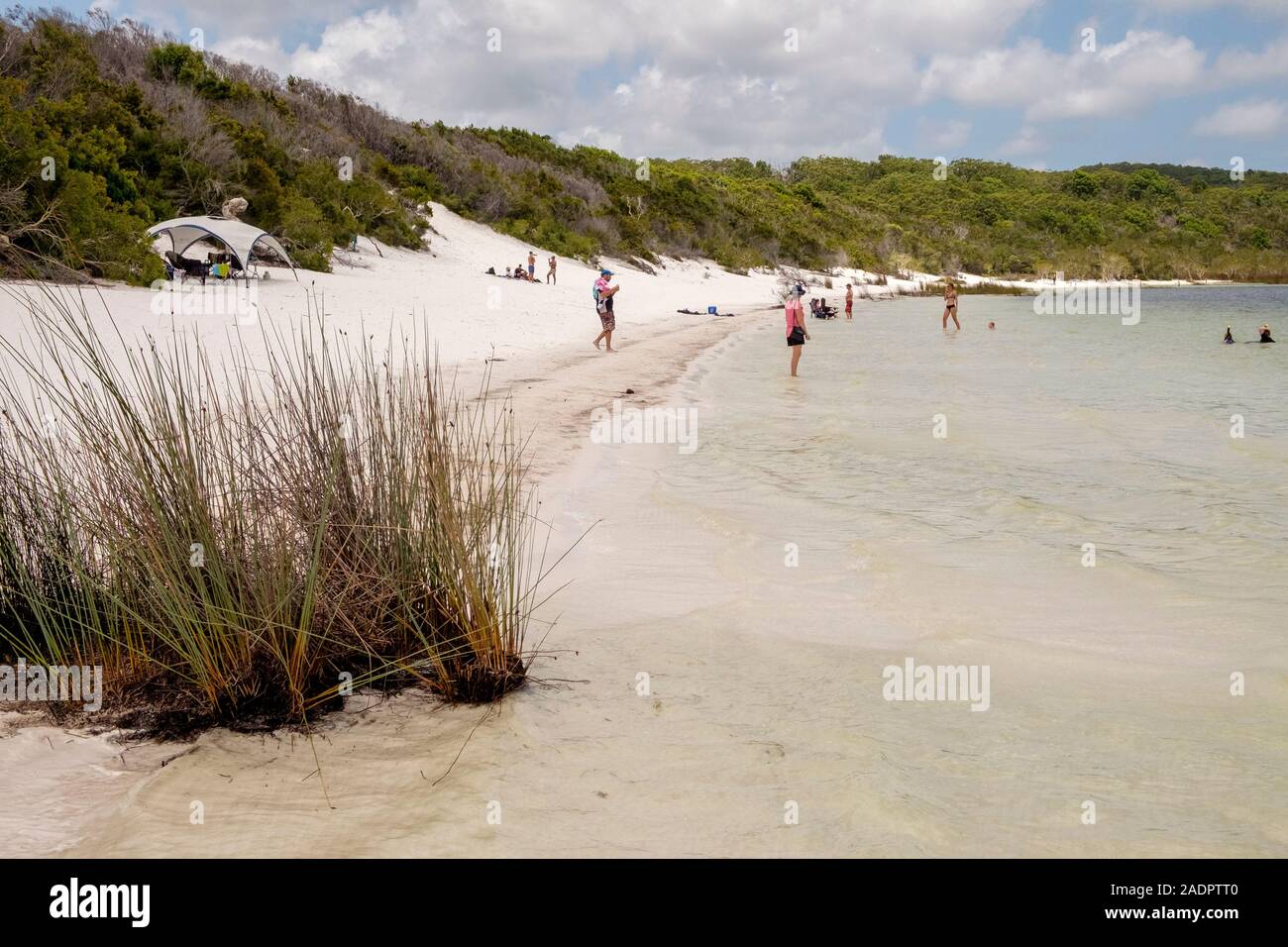 Lake McKenzie Fraser Island Stock Photo Alamy
