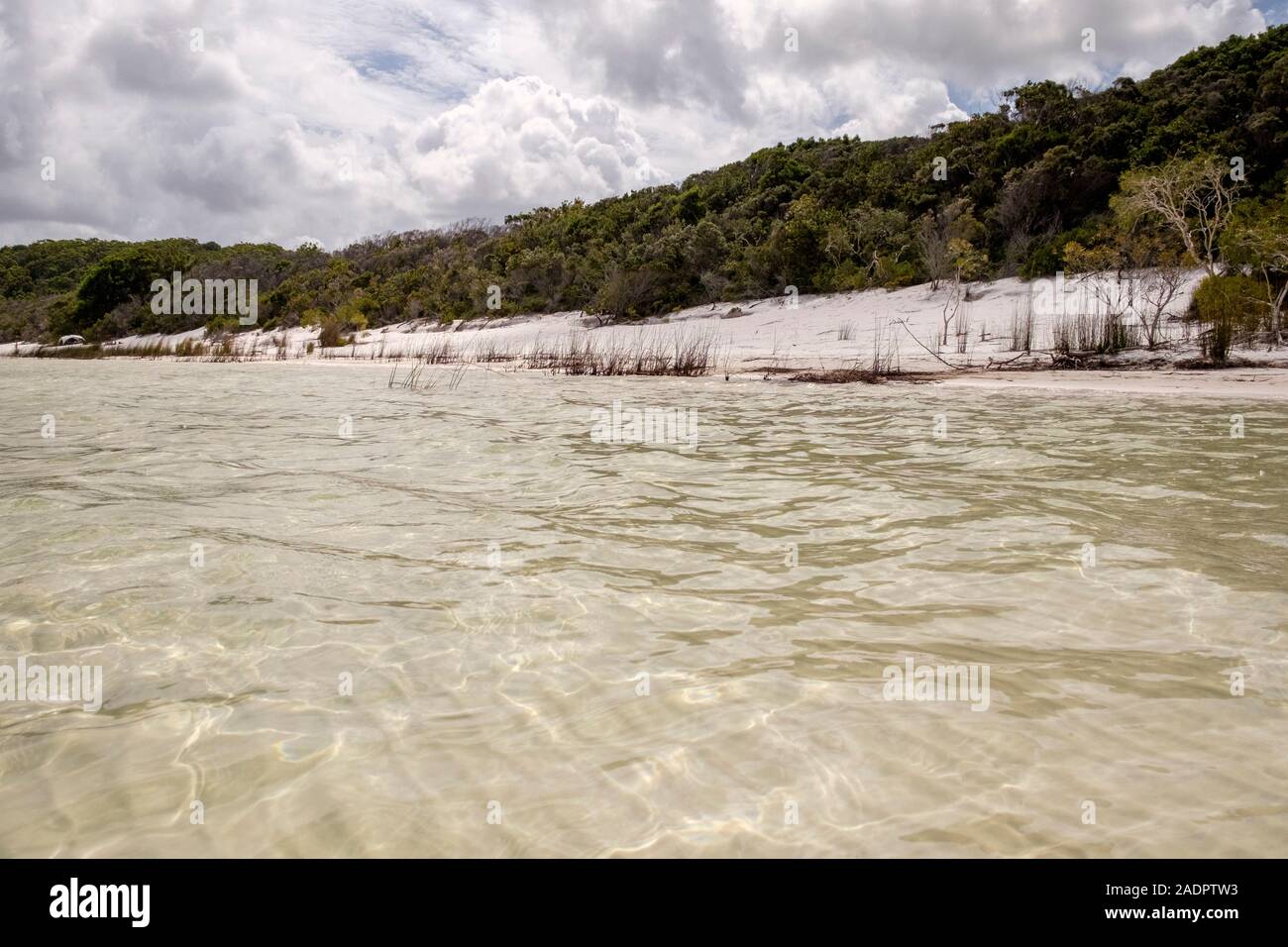 Lake McKenzie Fraser Island Stock Photo Alamy