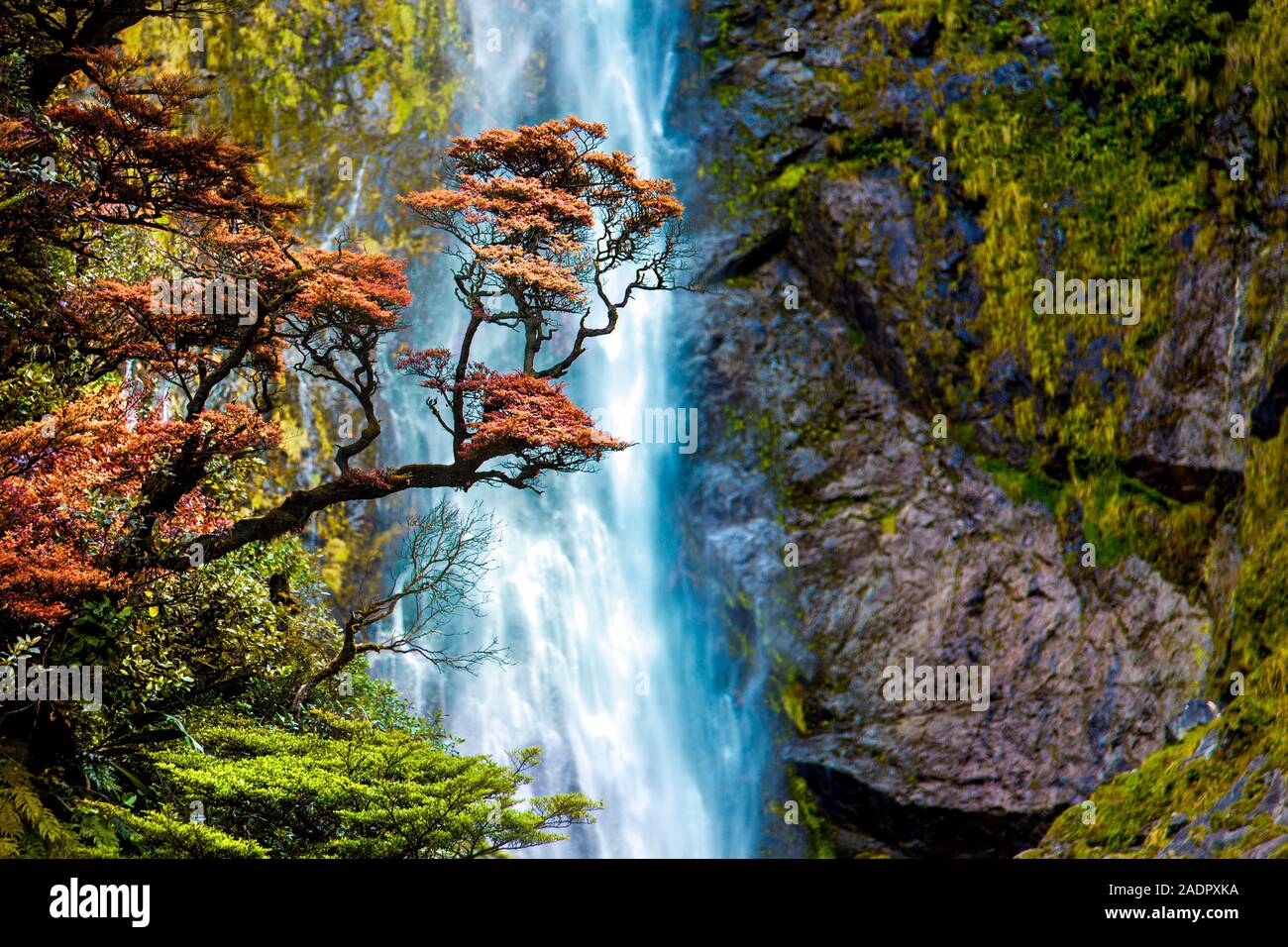 Devil's Punchbowl Waterfall in Arthur's Pass, New Zealand Stock Photo