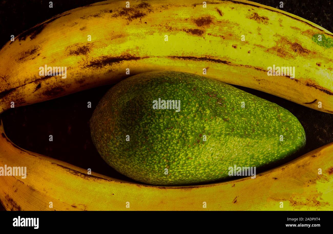 Two plantains and avocado pear food still-life Stock Photo