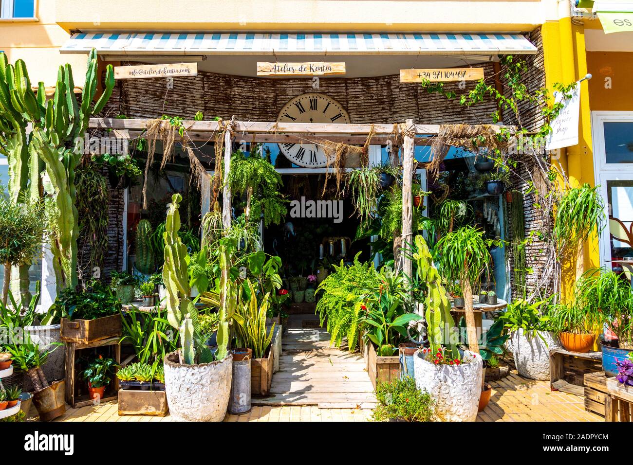 Plant shop Atelier de Kentia in Sant Francesc Xavier, Formentera, Spain Stock Photo
