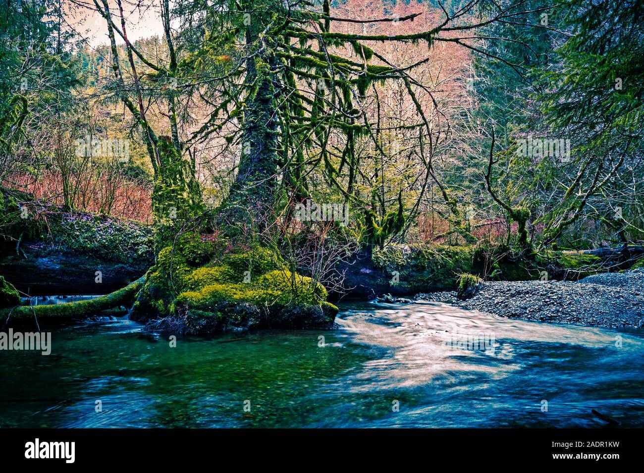 Scenic Starrigavan River, Tongass National Forest near Sitka, Alaska, USA. Stock Photo