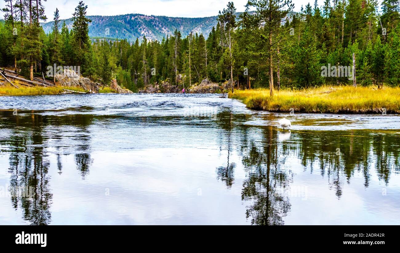 The Firehole River just upstream of the Cascades in Yellowstone National Park, Wyoming, USA Stock Photo
