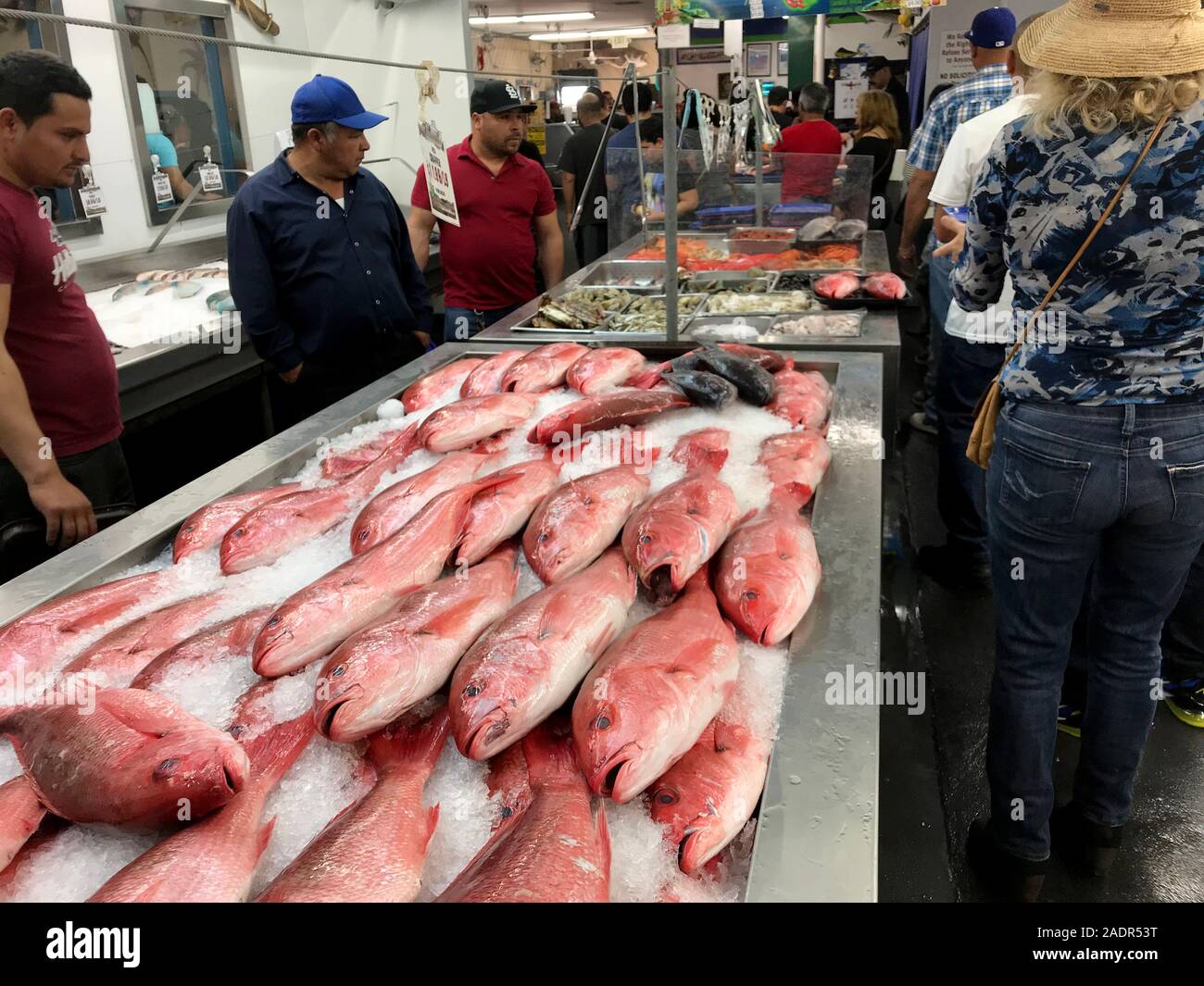 Fresh fish on display in restaurant in Ports of Call at San Pedro, CA. Fish can be selected and then cooked to order for patrons. Stock Photo