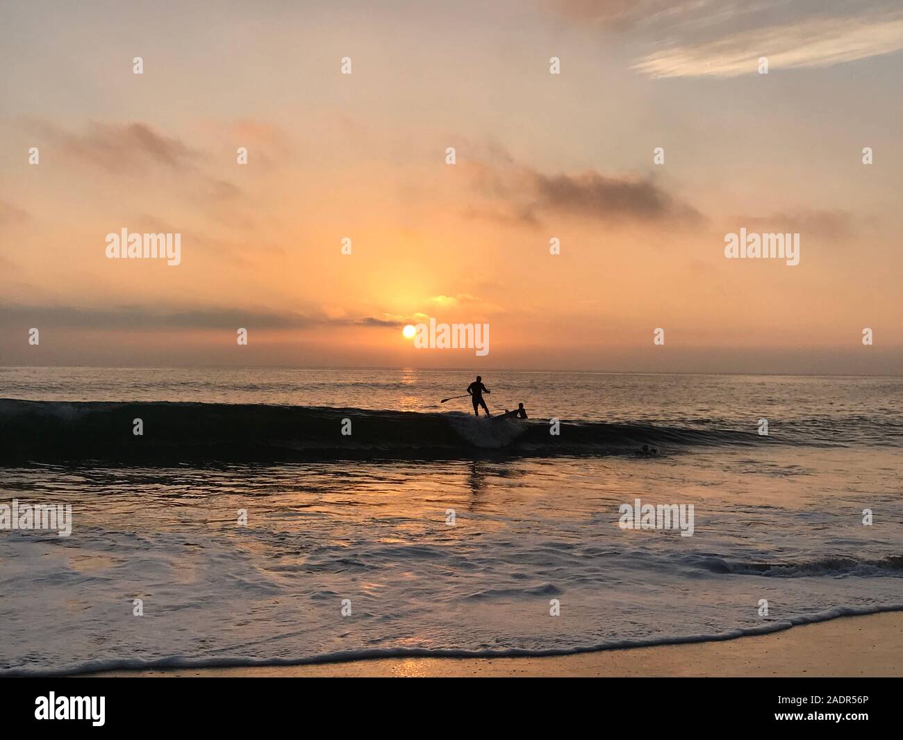 Paddle boarder riding wave at sunset at Malibu Beach in Los Angeles, CA Stock Photo