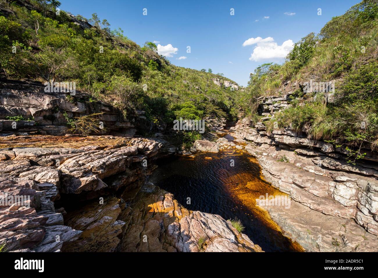 Cerrado landscape of brazil hi-res stock photography and images - Alamy
