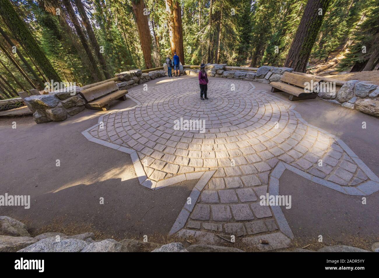Design in trail to the General Sherman Tree, the largest tree in the world, showing the base size of the immense tree, in Sequoia National Park, Calif Stock Photo