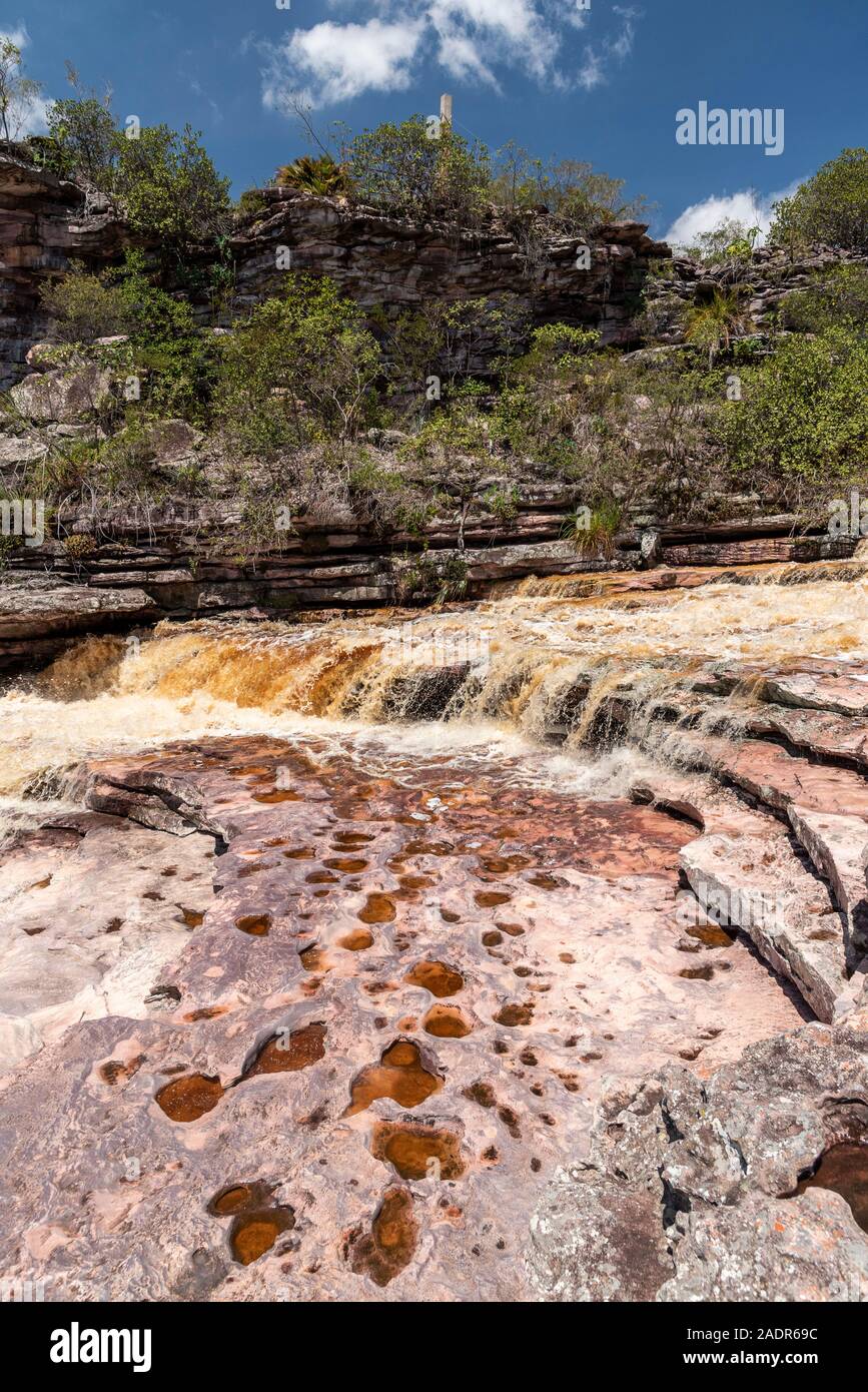 Cerrado landscape brazil hi-res stock photography and images - Alamy