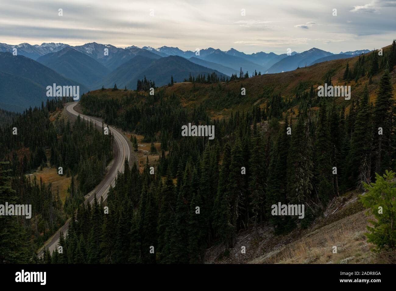 Hurricane ridge road hi-res stock photography and images - Alamy