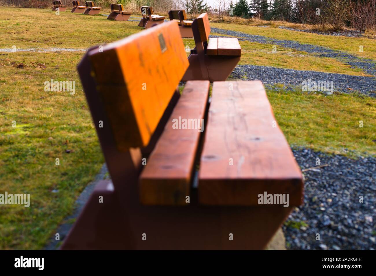 Park benches with a view of downtown Vancouver from Cypress Bowl Provincial Park in West Vancouver, British Columbia, Canada Stock Photo