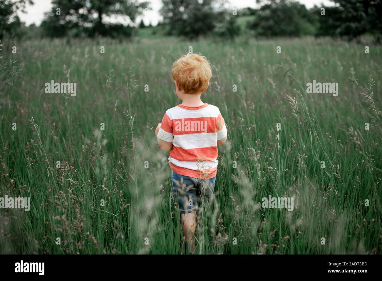 Toddler boy in striped shirt walking into a tall grassy field outdoors Stock Photo