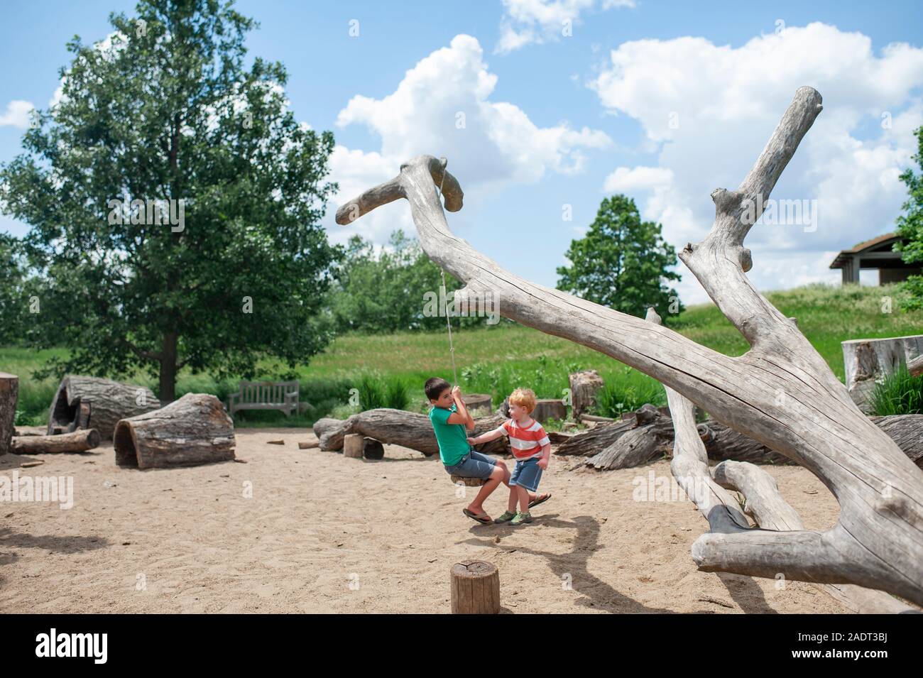Brothers push each other on a tree swing outdoors at a local park Stock Photo