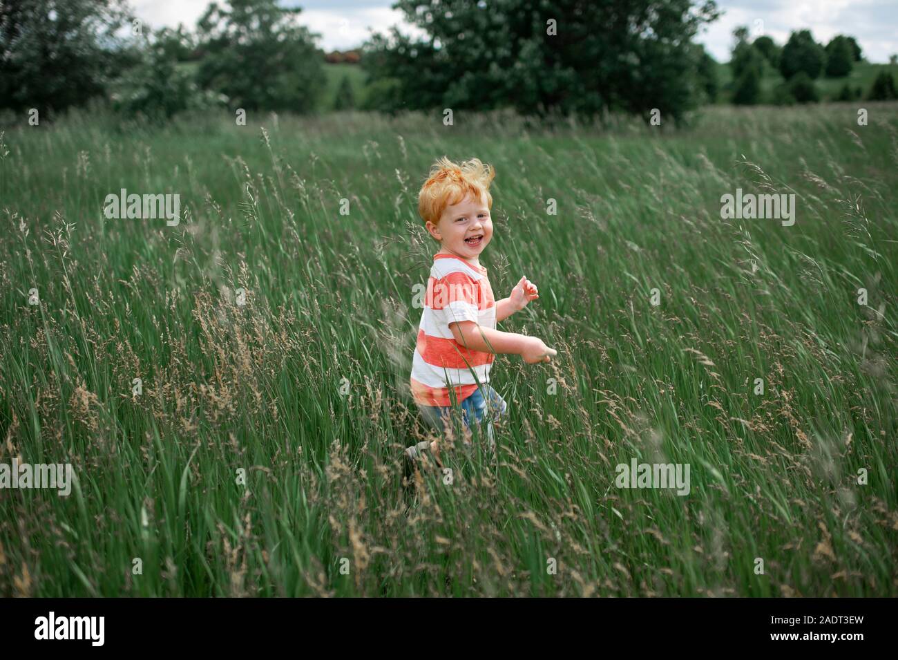 Toddler boy laughing while walking through a long grassy field outside Stock Photo