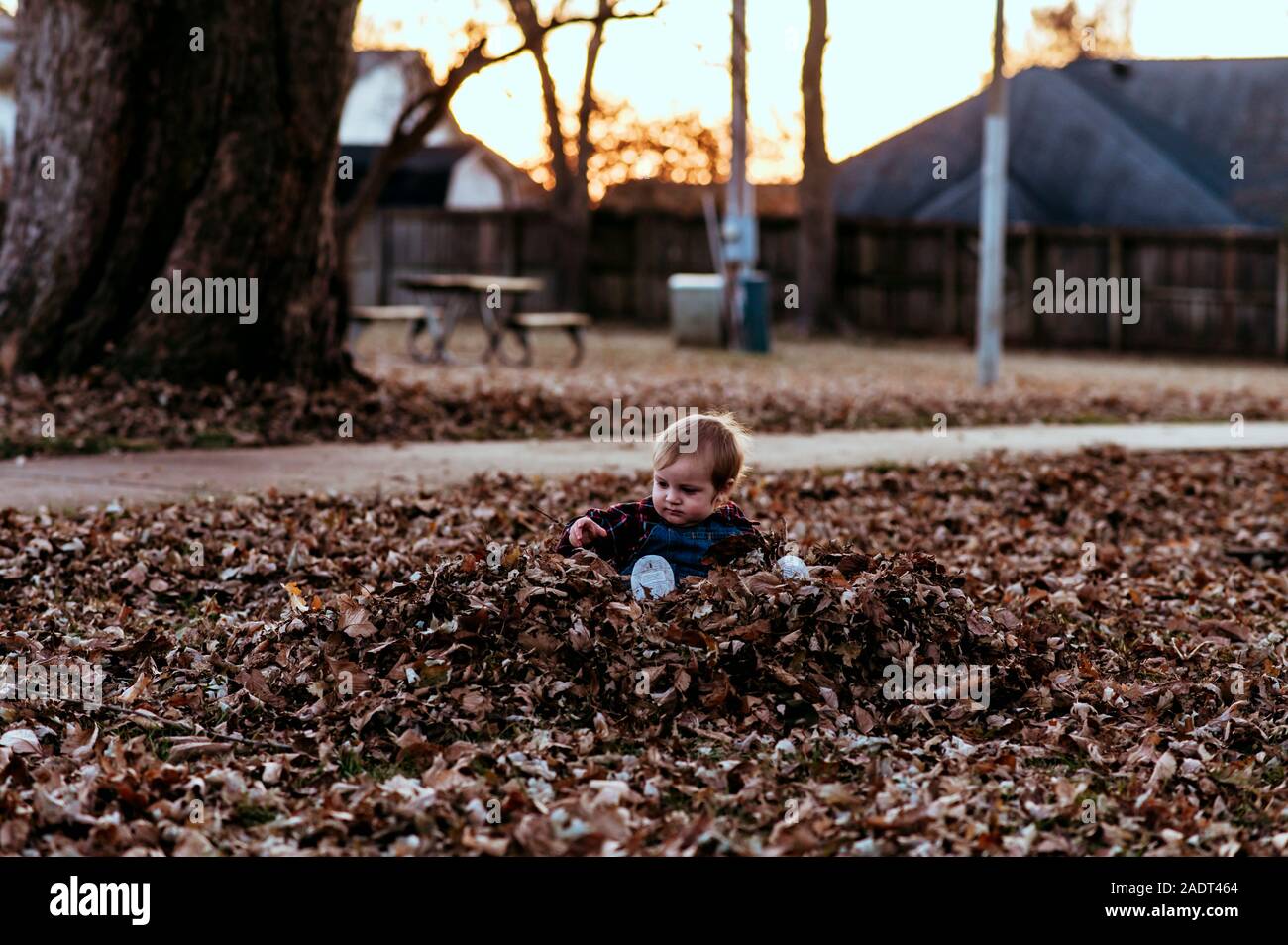 Baby boy sits in leaf pile wearing overalls. Stock Photo