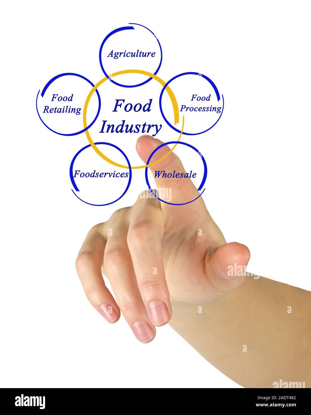 Diagram of Food Industry Stock Photo Alamy