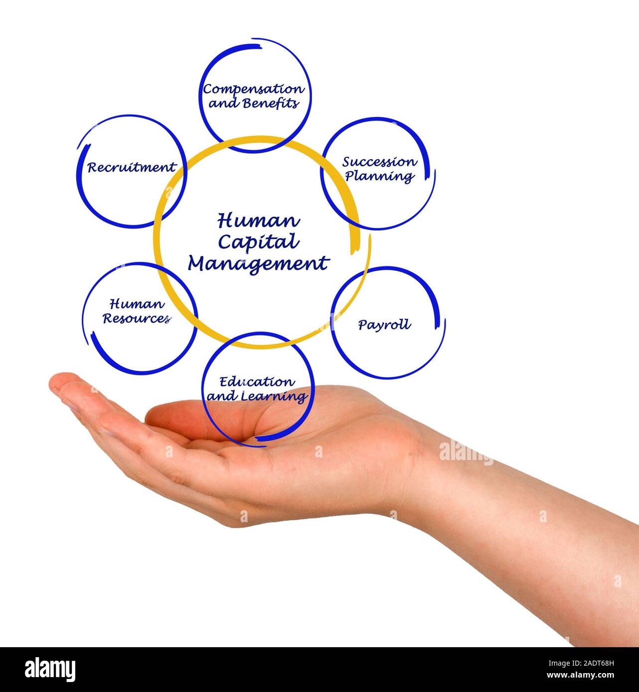 Human Capital Management Stock Photo Alamy