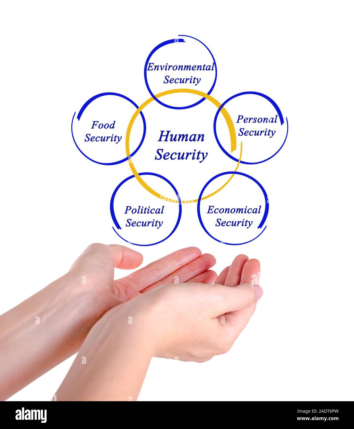 Diagram of Human Security Stock Photo Alamy