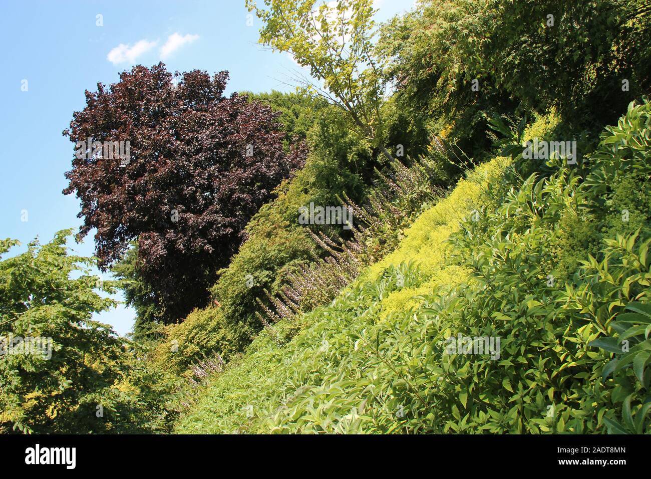 public garden in avranches in normandy (france) Stock Photo