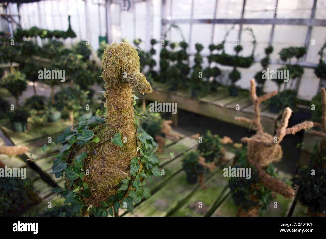 Bird Topiary Stock Photo