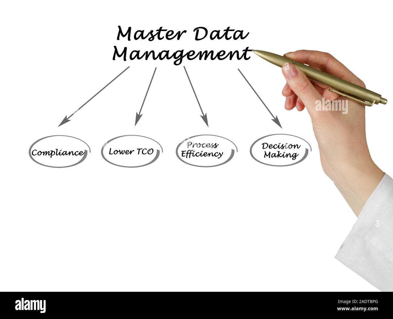 Diagram Of Master Data Management Stock Photo Alamy