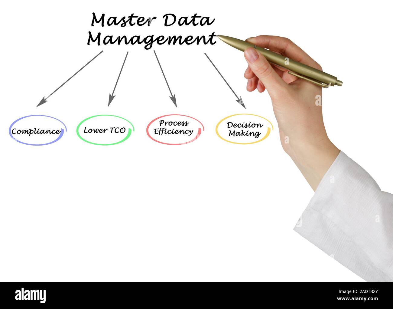 Diagram of Master Data Management Stock Photo - Alamy