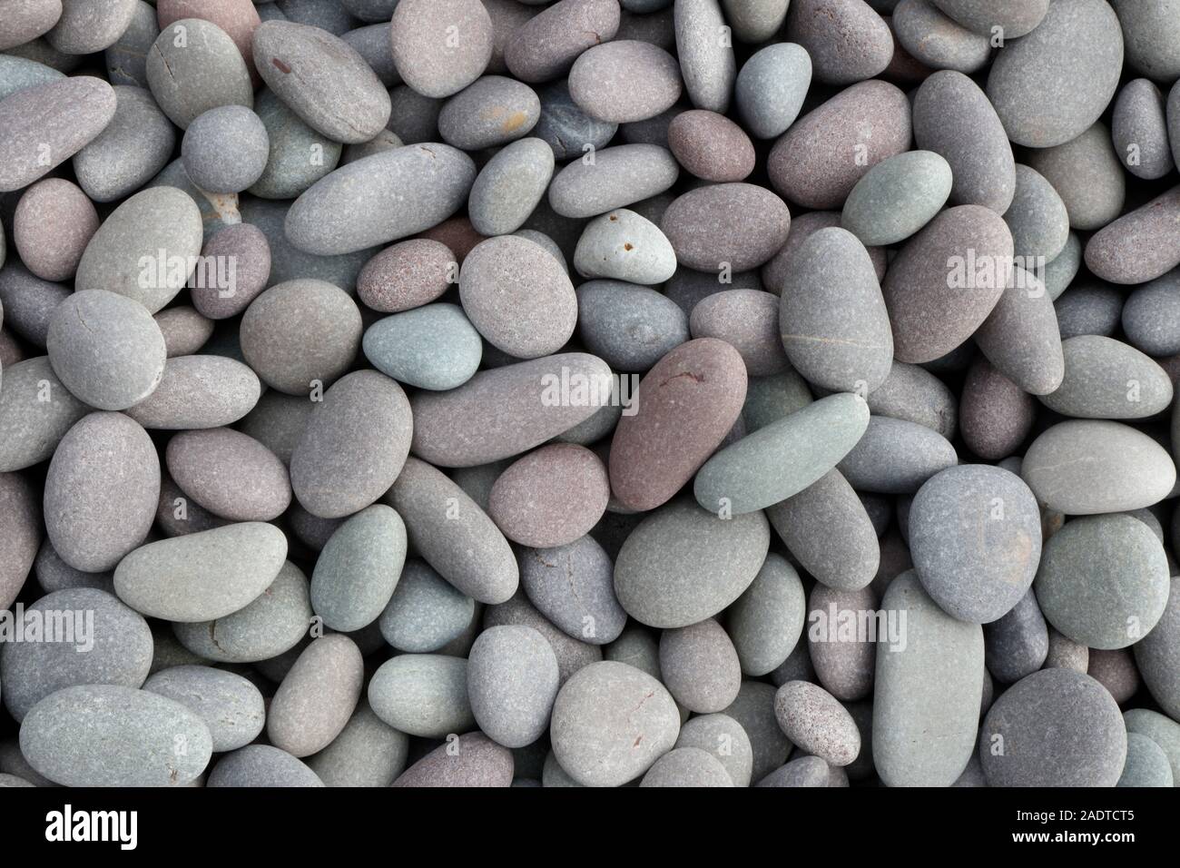Pebbles on Bossington Beach, Somerset, England, UJK Stock Photo