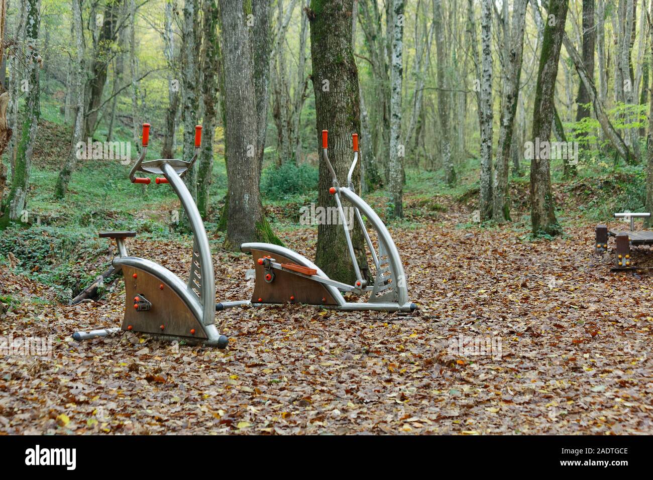 Elliptical sky walker and spin bike fitness equipment in a public park on autumn season with dry leaves on the ground. Belgrad Forest in Istanbul. Stock Photo