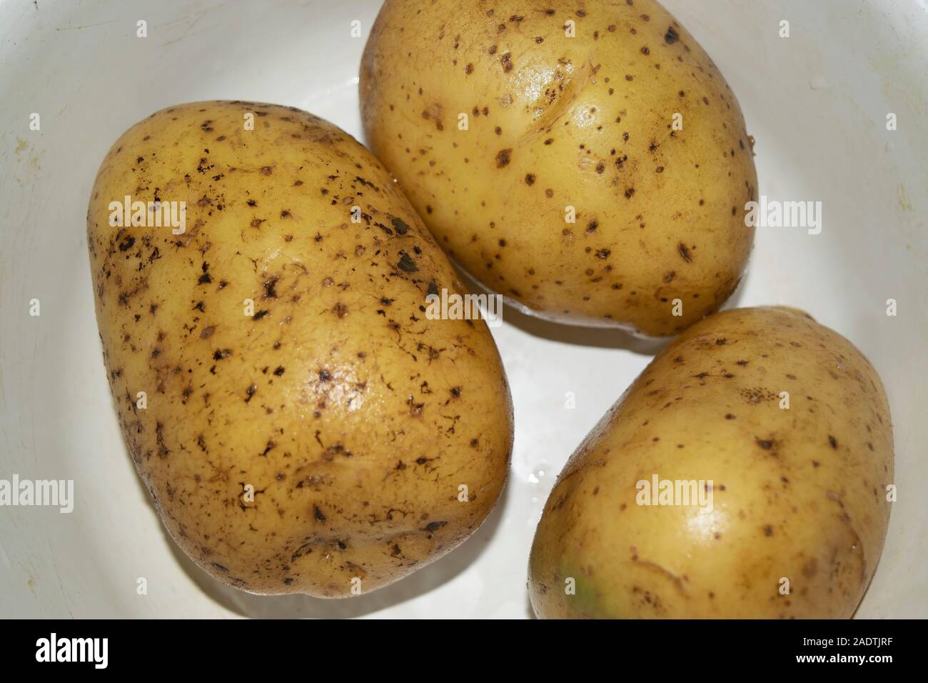 Three unpeeled washed potatoes in a white plate. Home cooking. Close up. Stock Photo