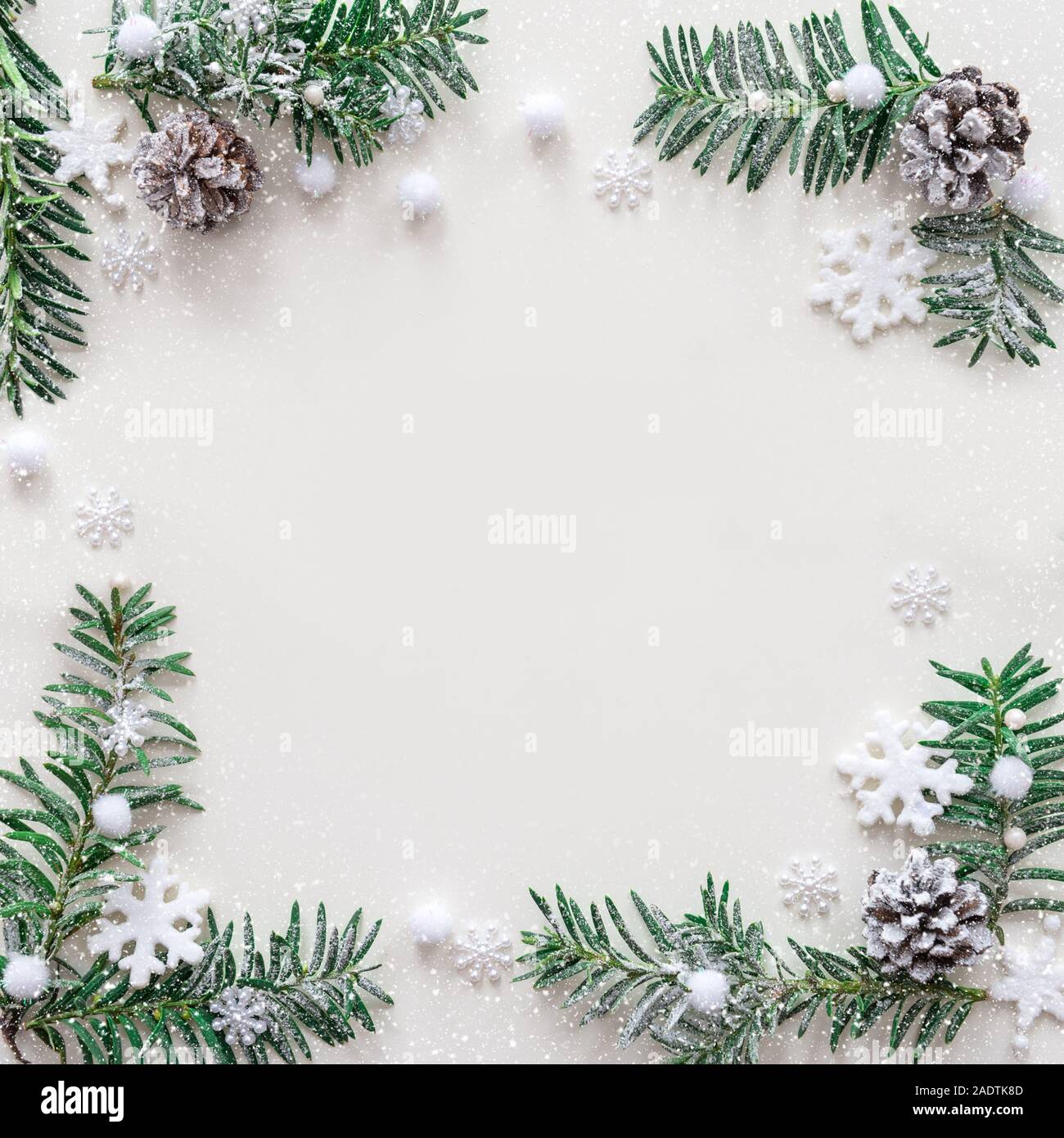 Christmas decoration with fir branch and cones on a snowy background ...